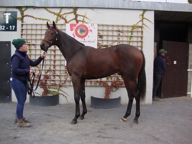 Eagle Court wins at Redcar on 23rd September 2020