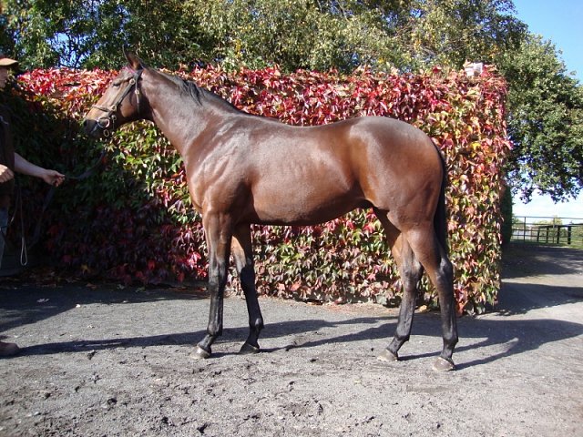 Global Hope second at Yarmouth on 30th July 2019