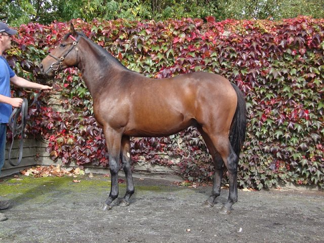 Liberal third at Wolverhampton on 16th November 2018