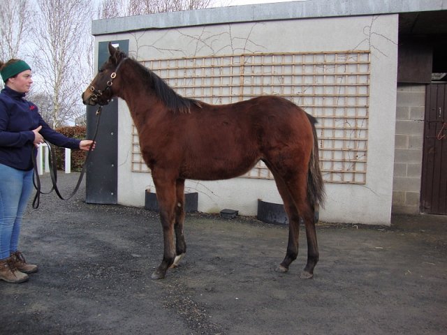 Our Class Act wins at Happy Valley on 14th September 2022