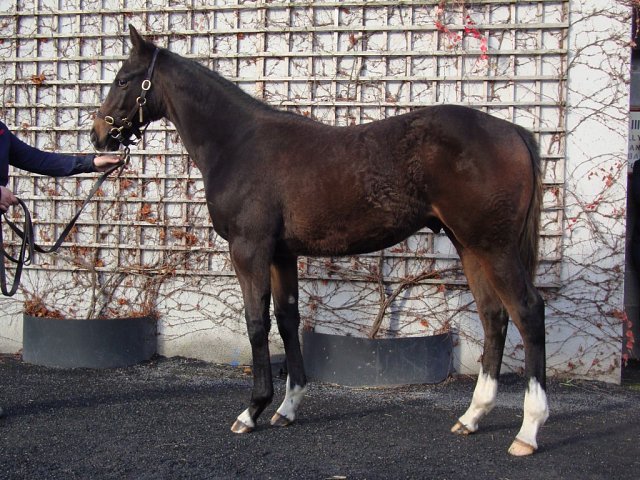 Addictive second at Chelmsford on 29th March 2024