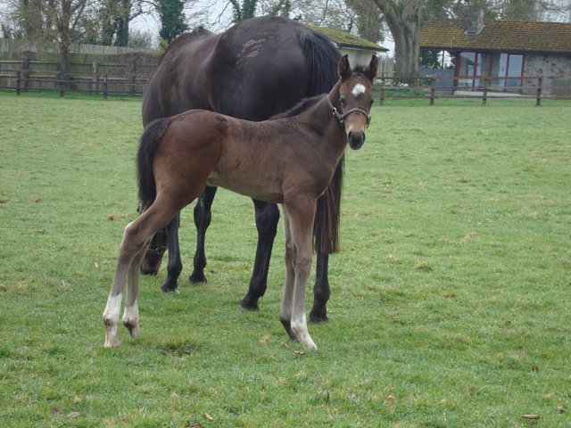 Addictive second at Chelmsford on 29th March 2024