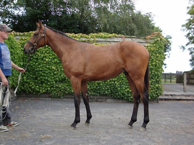 All For The Best second at Pontefract