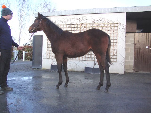 All In The Mind second at the Curragh on 24th June 2022