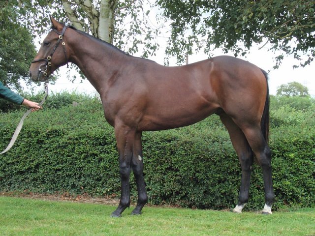 Alotaibi second at Ascot on 4th September 2021