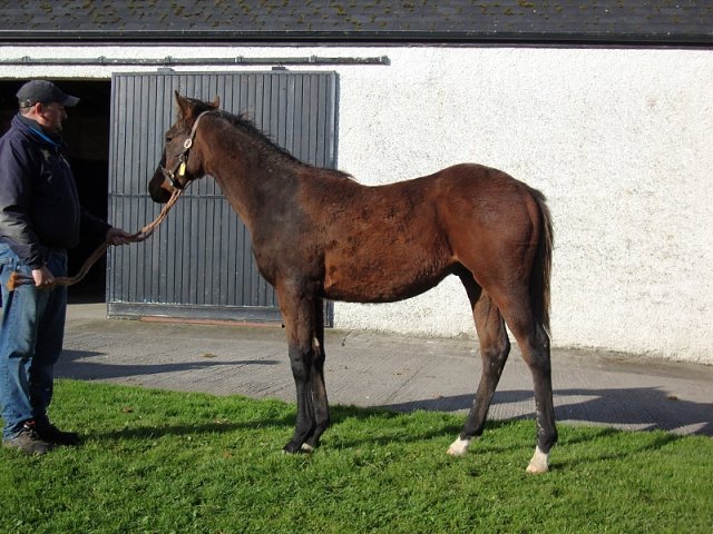 Alotaibi second at Ascot on 4th September 2021
