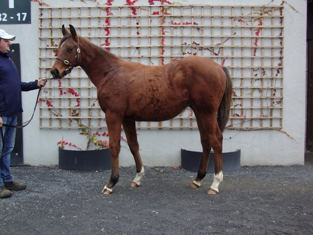 Alphonse Karr third at Chelmsford on 26th August 2021