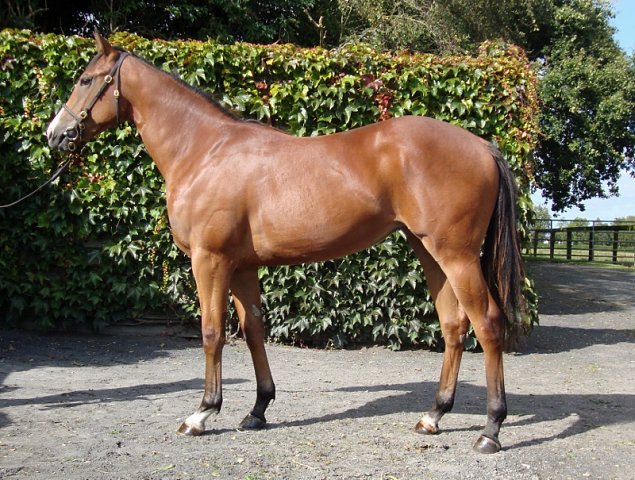 Al Saariyah wins at Windsor on 26th July 2021