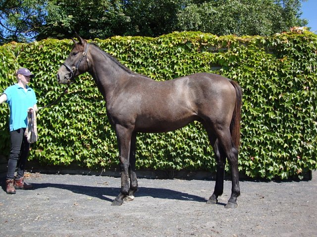 Argyle second at Pontefract