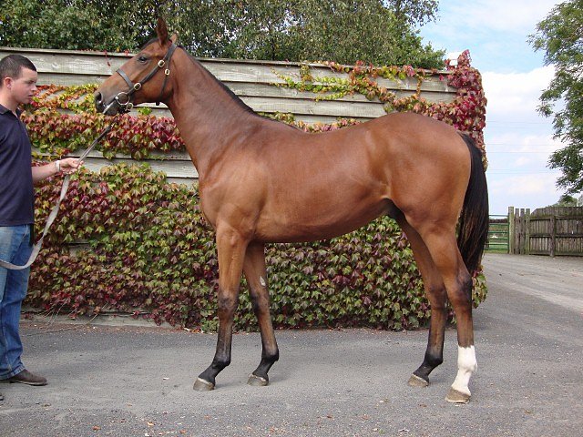 Arty Campbell third at Chepstow