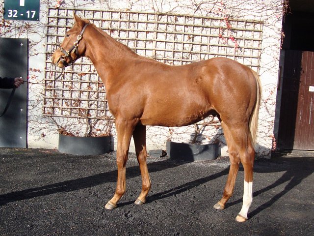 Asmen Warrior second at Goodwood on 23rd August 2025