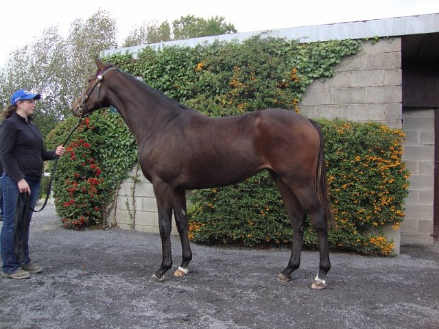 Attack At Dawn third at Dundalk on 13th December 2019