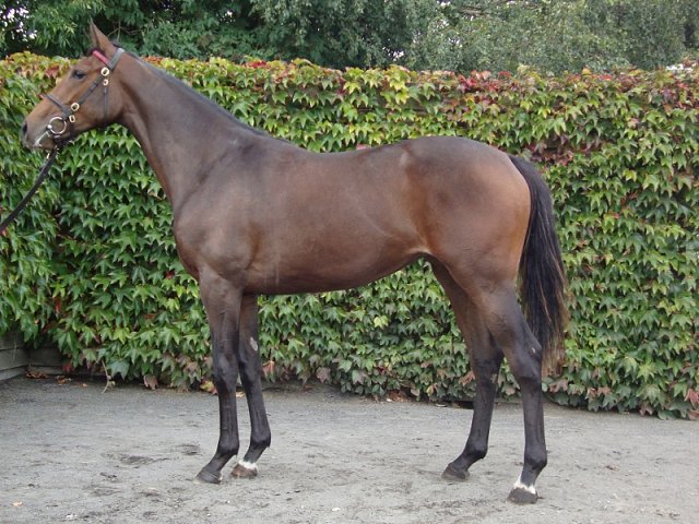 Attack At Dawn third at Dundalk on 13th December 2019