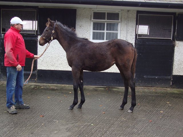 Aunt Roberta third at Goodwood on 29th August 2026