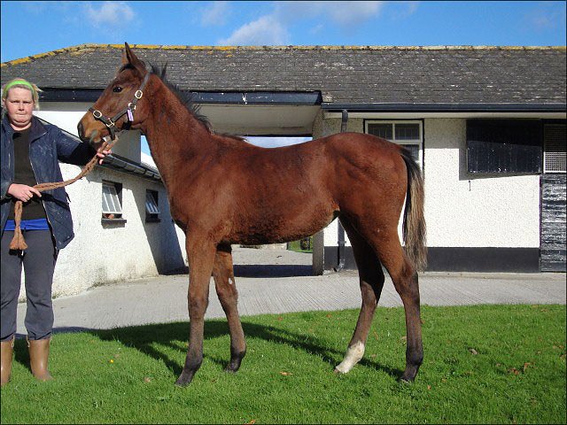 Bantam second at Thirsk