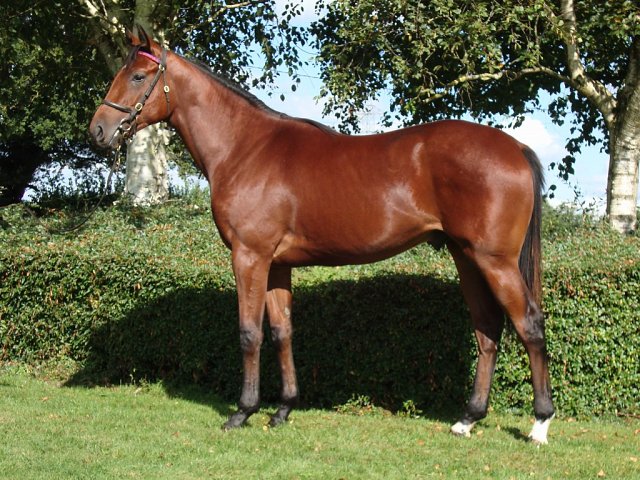 Belgravian wins at Haydock on 10th August 2025