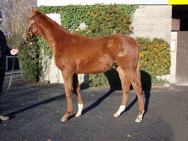 Benny Paret second at Roscommon