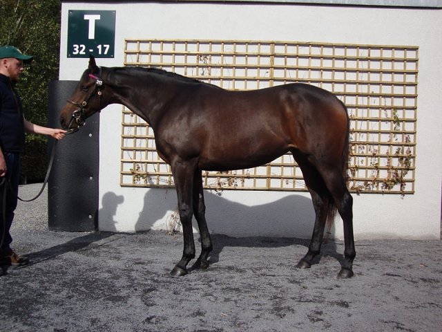Bodak wins at Dundalk on 29th November 2019