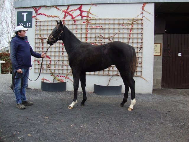 Bodak Yellow wins at Madrid, Spain on 8th July 2021