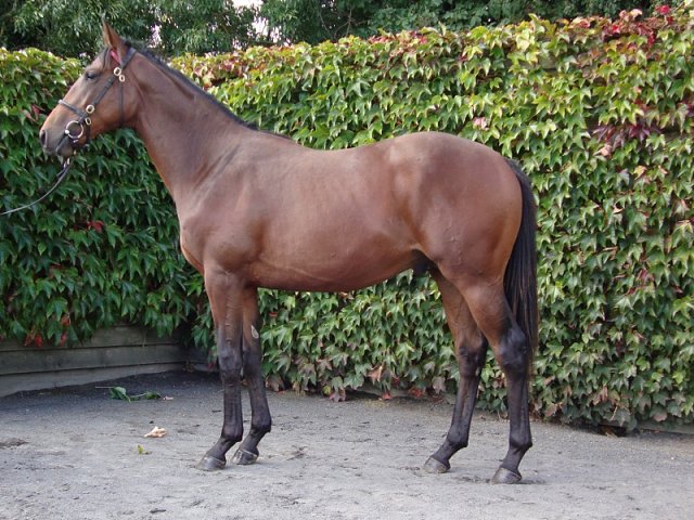 Bowditch wins at Lingfield