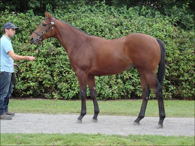 Buckland third at Kempton