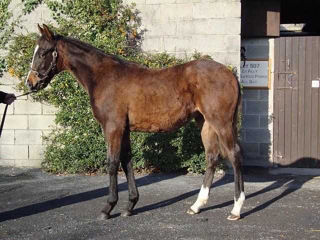 California Cherish second at Sha Tin