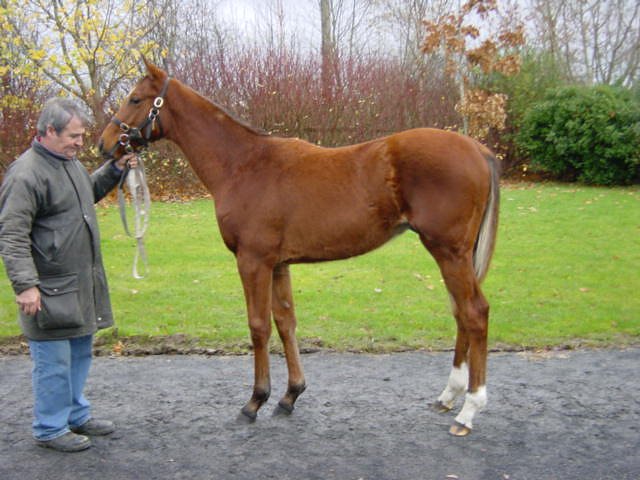 Captain Oats third at Chepstow