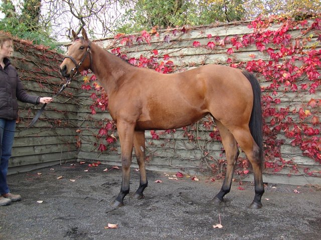 Catalan wins at Redcar