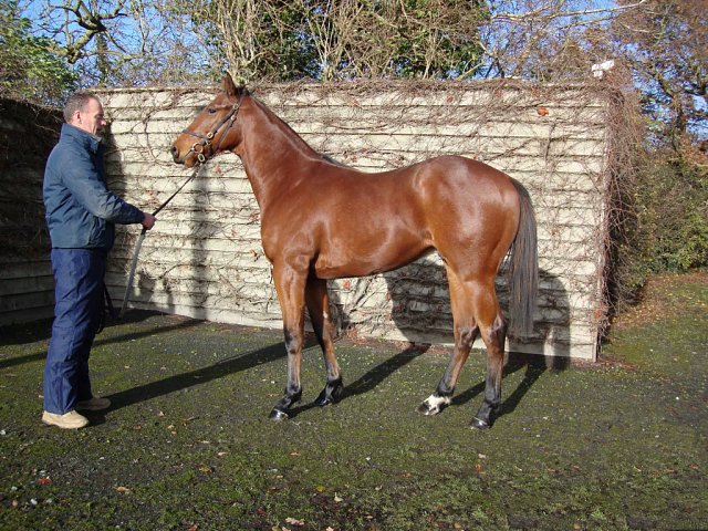 Chapman second at Lingfield on 27th October 2023