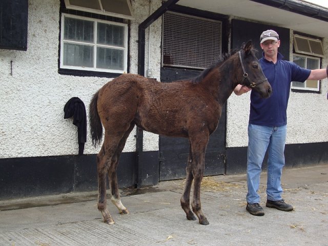 Cheerfilly second at Musselburgh
