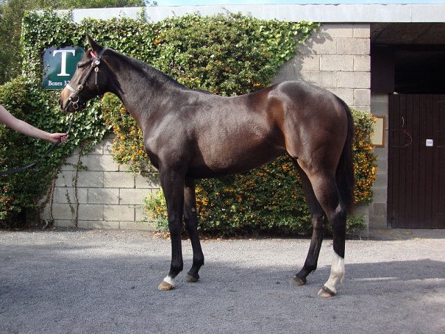Chiavari second at Chepstow on 29th June 2021
