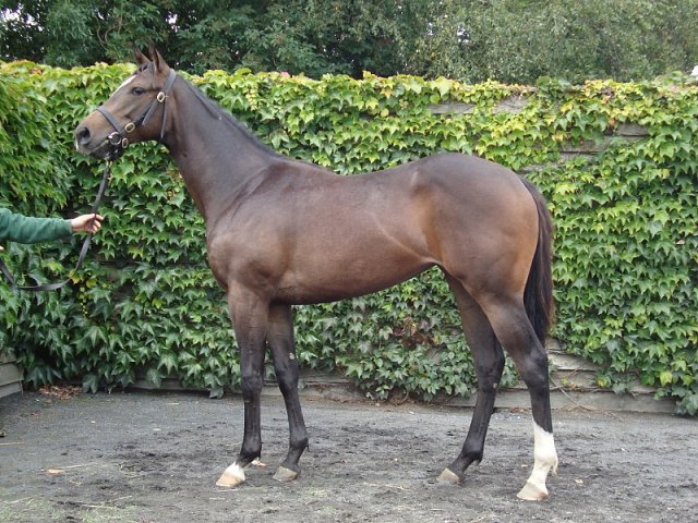 Chiavari second at Chepstow on 5th June 2021
