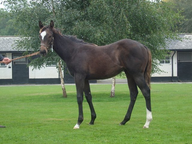 Chiavari second at Chepstow on 29th June 2021
