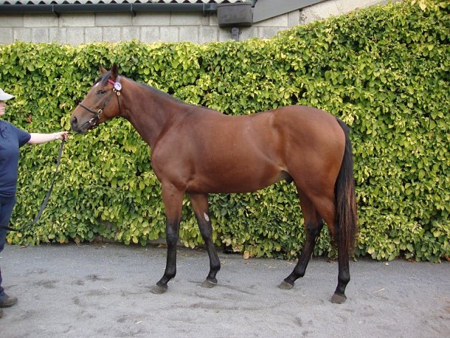 Clouds At Night third in Listed Race