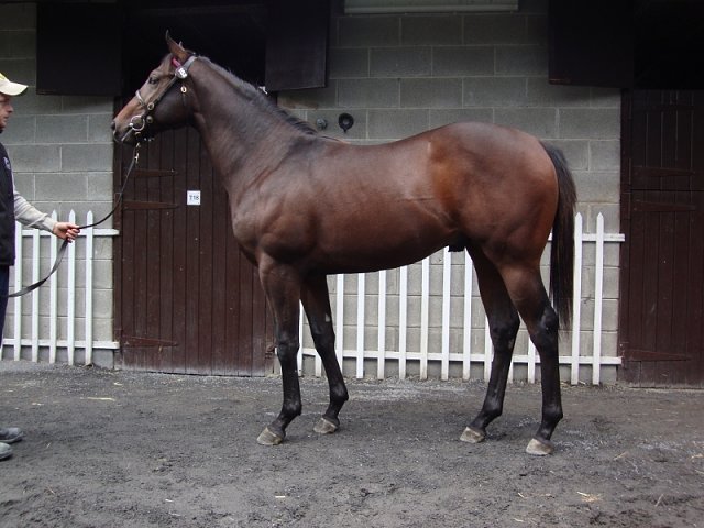 Completion second at Haydock on 26th May 2018