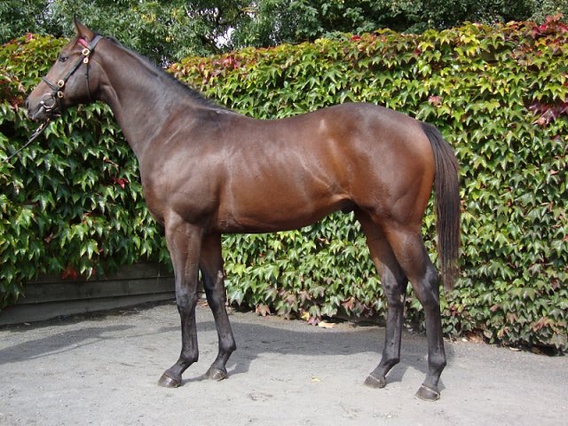 Completion second at Haydock on 26th May 2018