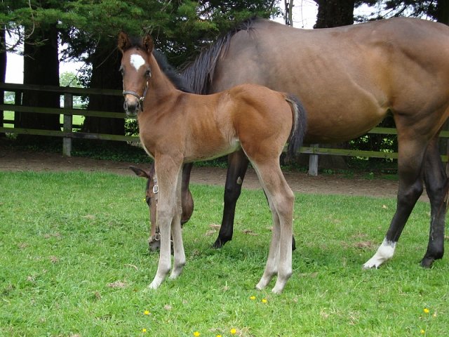 Completion wins at Redcar on 3rd May 2018