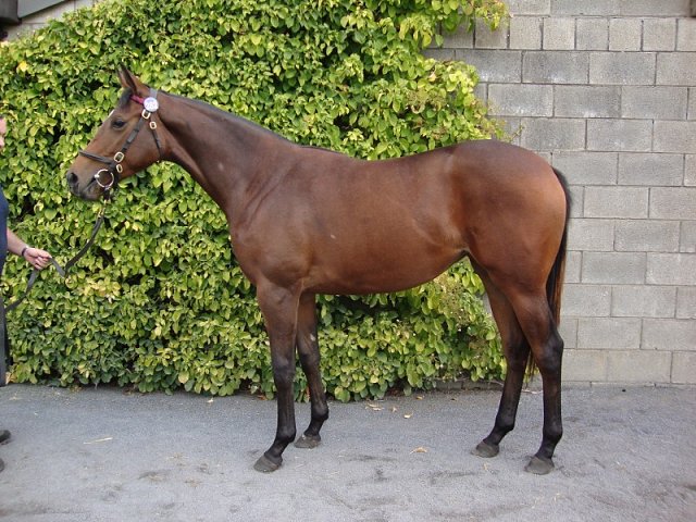 Could Should Would second at Gowran Park