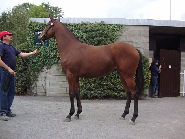 Croara second at Al Rayyan