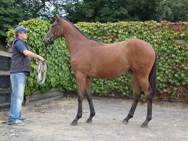 Croara second at Al Rayyan