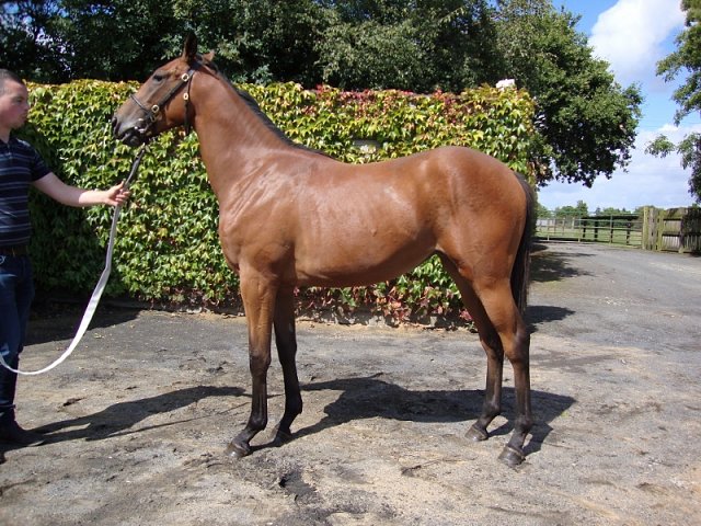 Croara second at Al Rayyan
