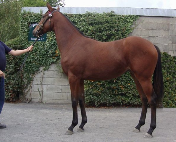 Croara second at Lingfield