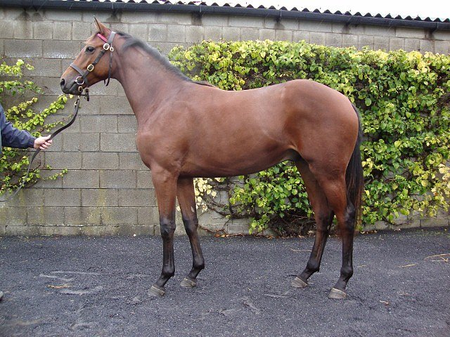 Dalan Rey wins in Spain