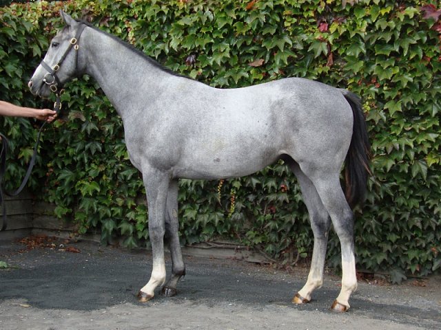 Dark Shift wins at Ascot on 1st October 2021