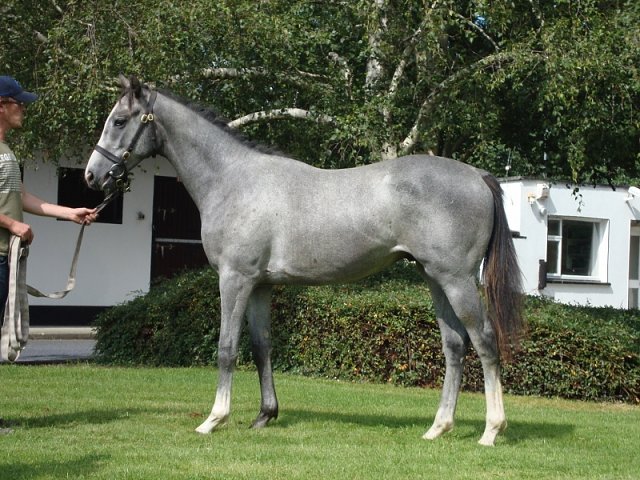 Dark Shift wins at Ascot on 1st October 2021