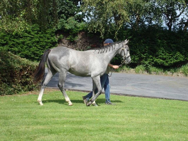 Dark Shift wins at Ascot on 3rd September 2021
