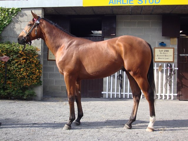 Dark Titan second at Wolverhampton