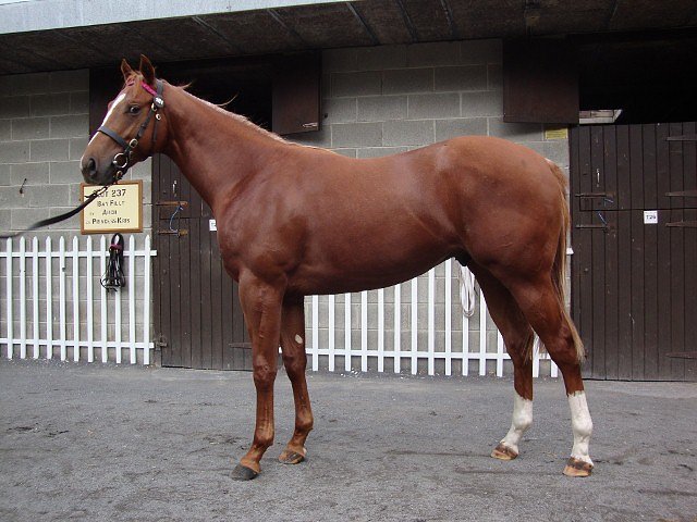 Dawn Calling wins at Dusseldorf on 15th June 2019