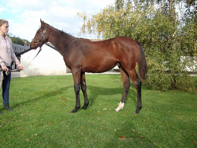 Deputy second on racecourse debut at Thirsk on 16th June 2020