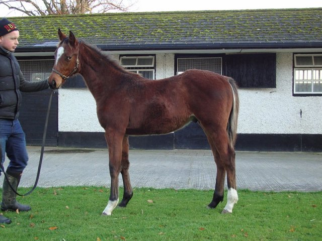 Donnelly's Rainbow second at Musselburgh on 27th September 2020